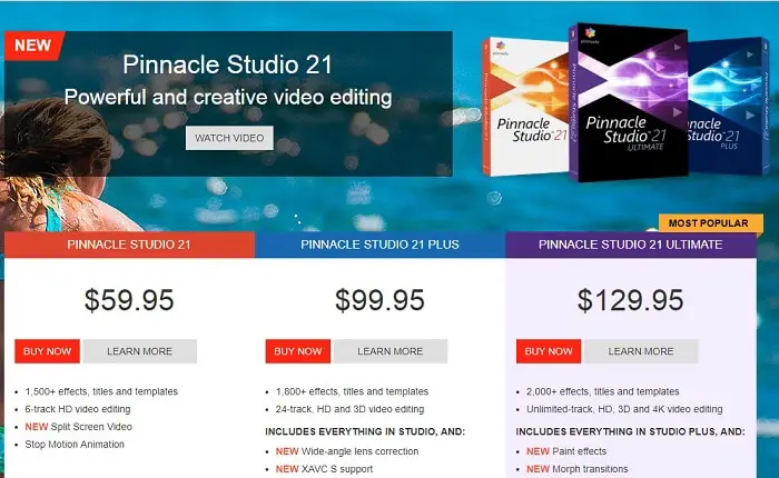 pinnacle studio video stabilizer software