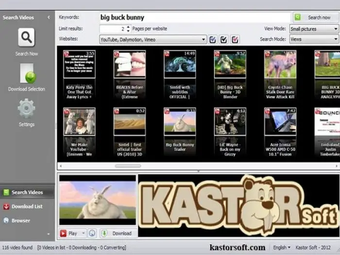 KastorSoft All Video Downloader