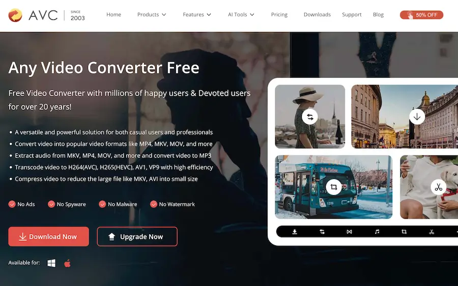 Any Video Converter Free (AVC)