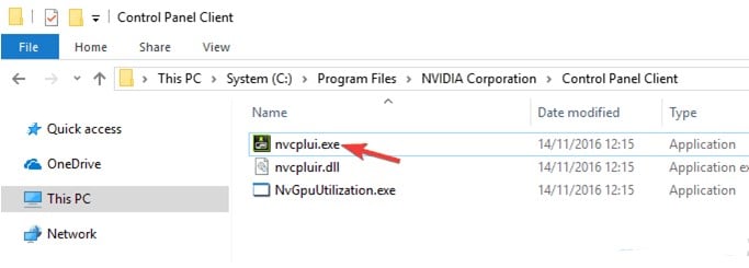 run file nvidia file directly
