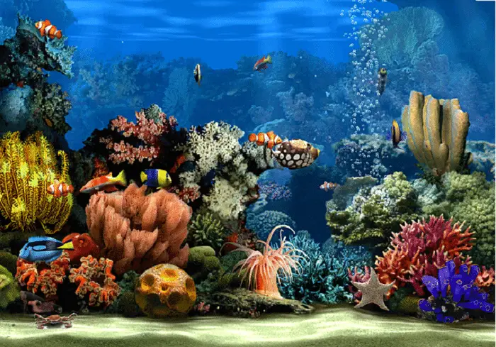 living marine aquarium