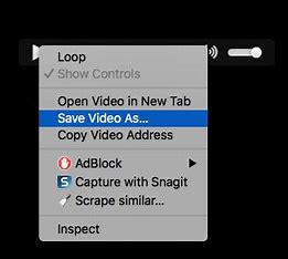 save video as