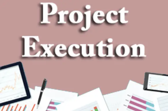 project execution