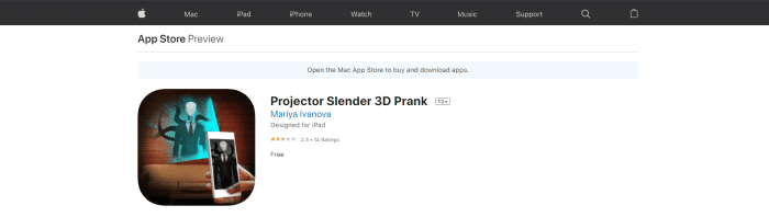 prank projector