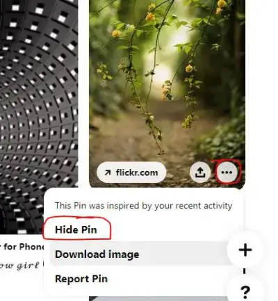 hide pin in pinterest app