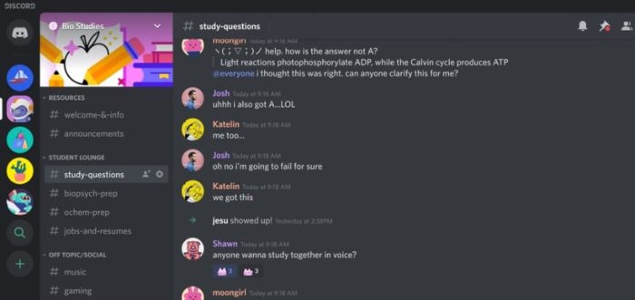 Discord chat interface