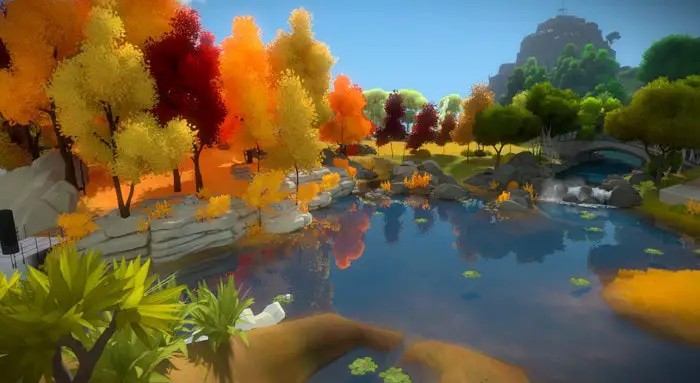 the witness