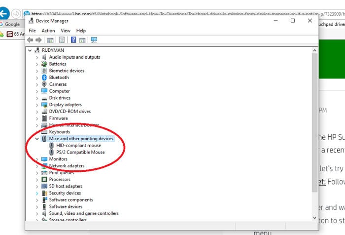 Click on Mice and other pointing Devices category.