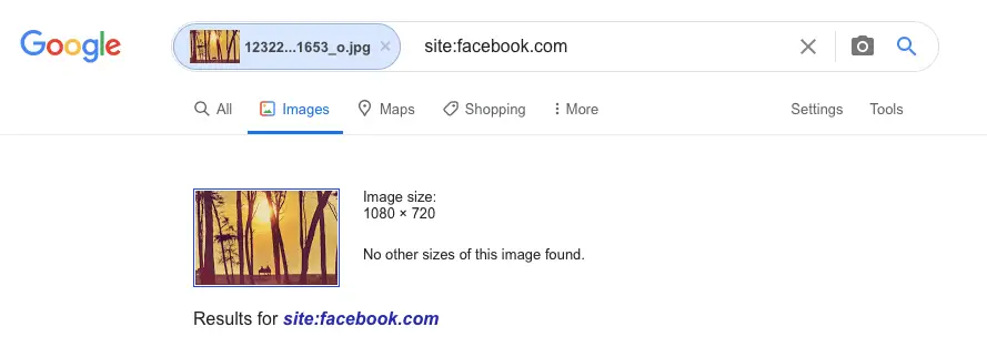 searching image with google