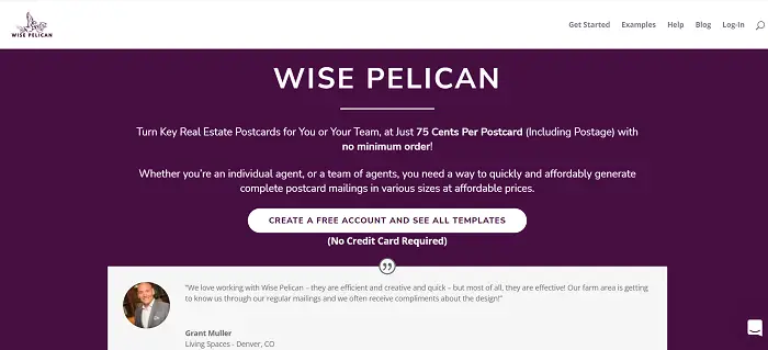 wise pelican