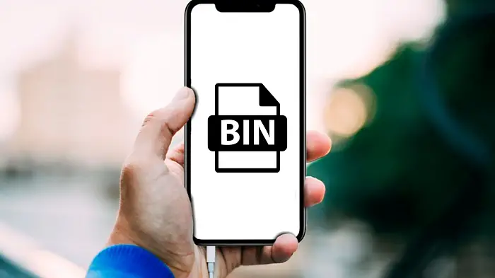 bin file