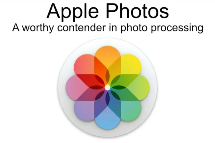 приложение для фотографий яблока
