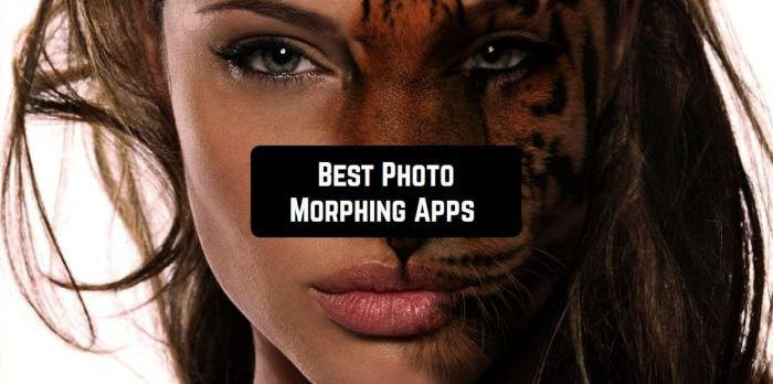 best photo morphing app