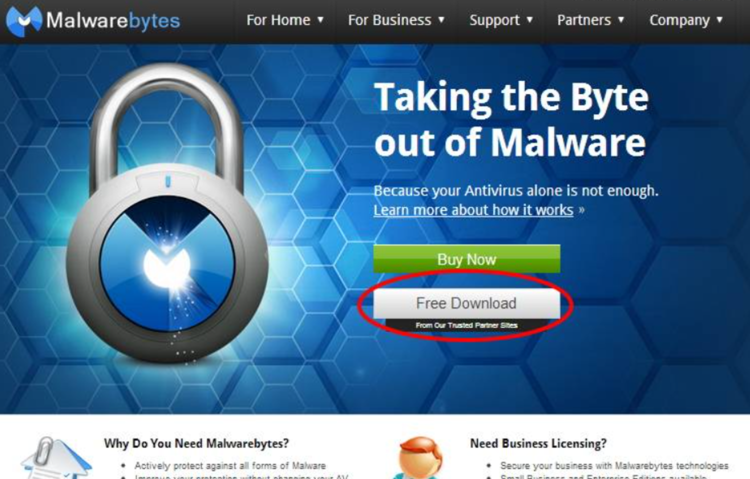 website of malware