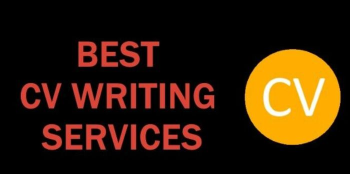 writing services