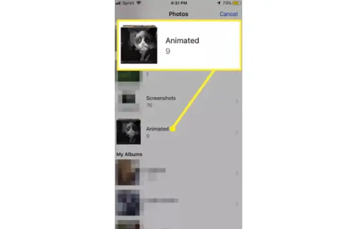 animated gifs in photos
