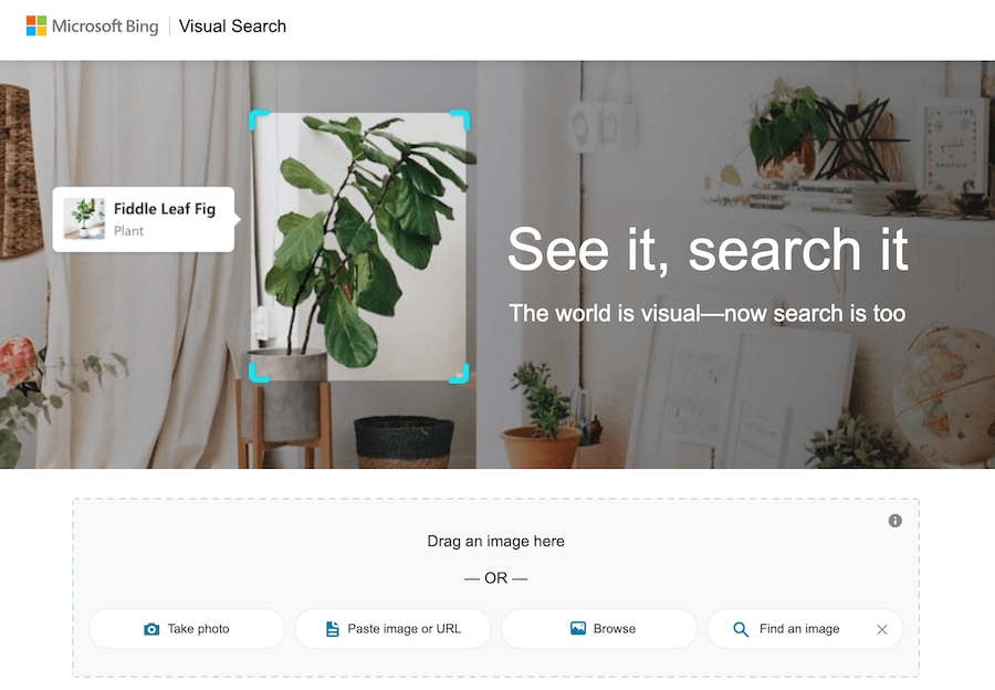 Bing Visual Search