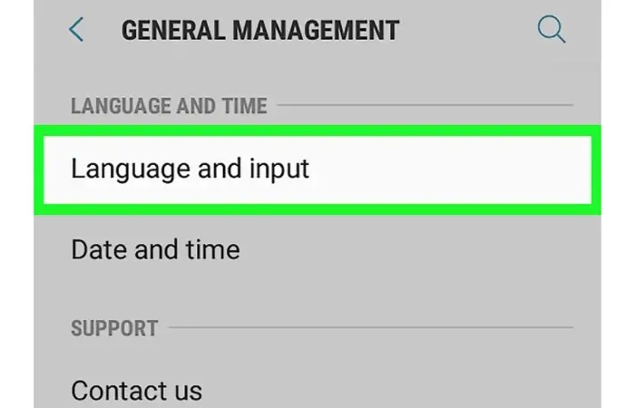 language and input