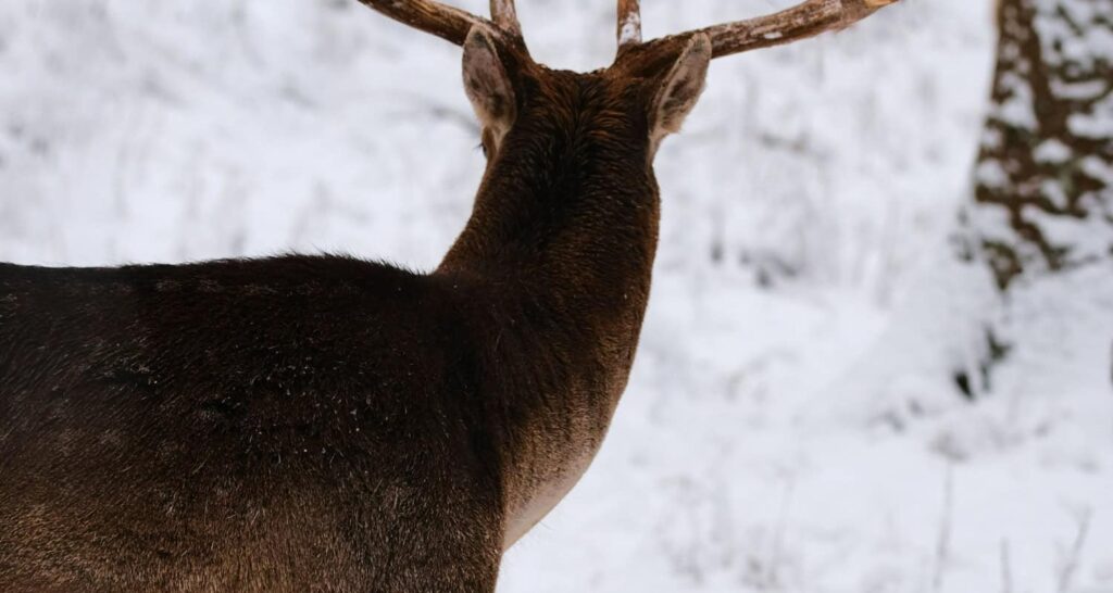 best hunting games for xbox one
