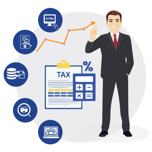 tax software or tax expert