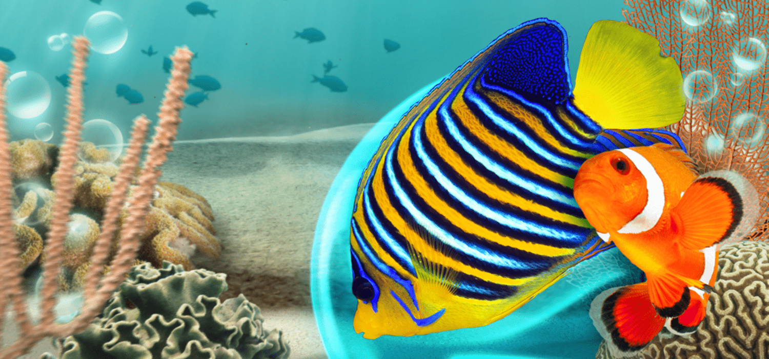my reef 3d aquarium app
