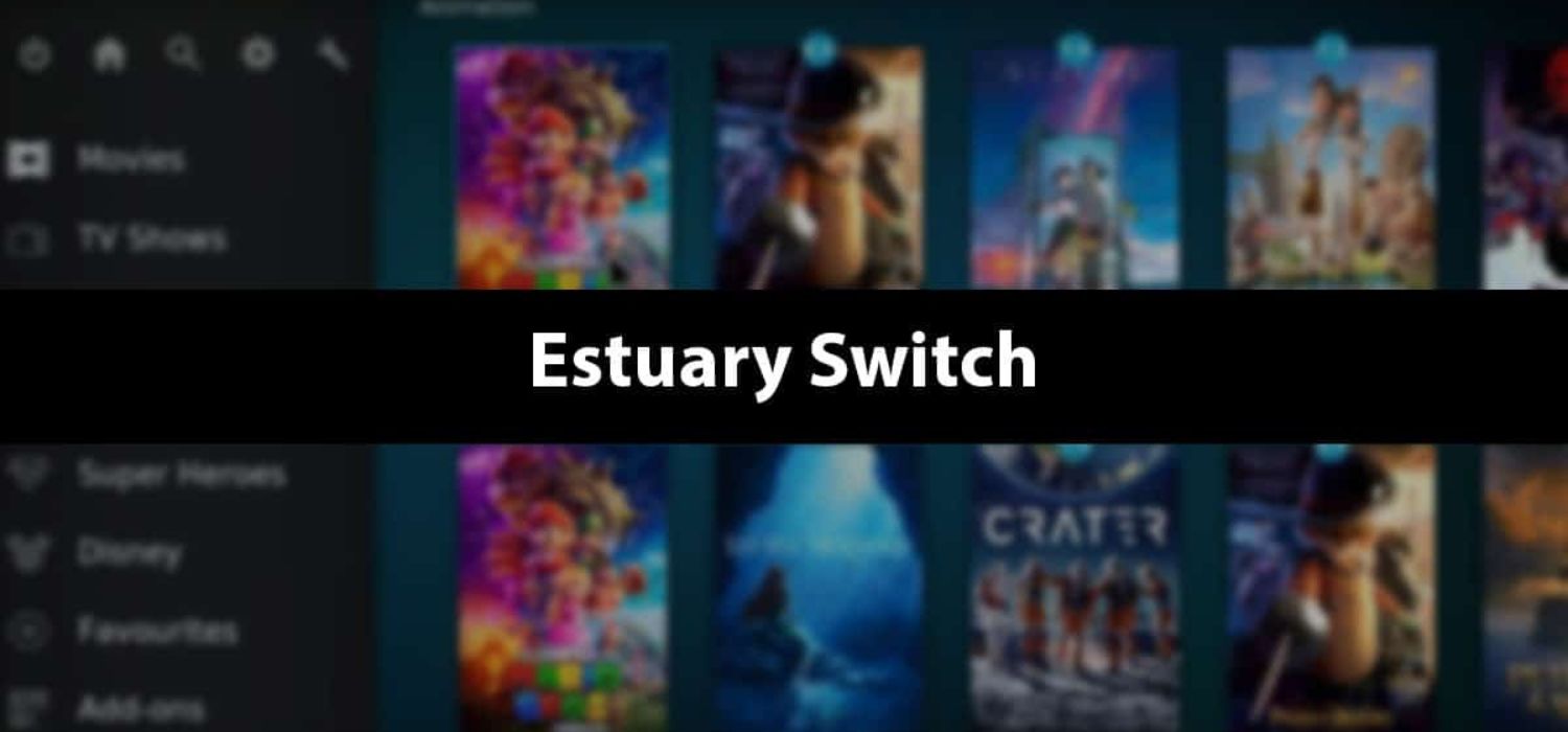 estuary switch