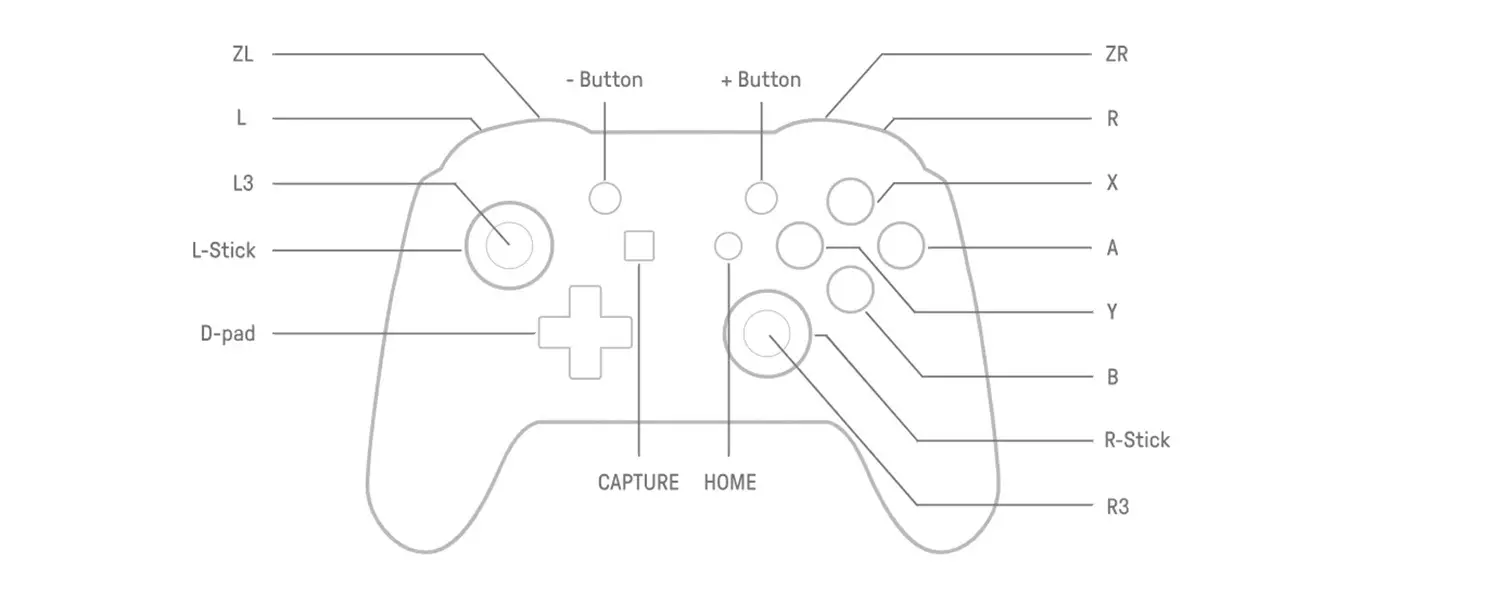 pro controller buttons
