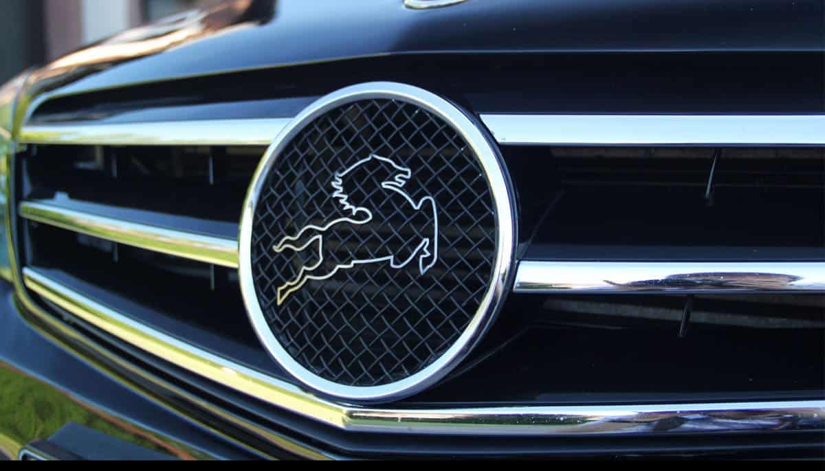 Carlsson-Car With Horse Emblem/Logo