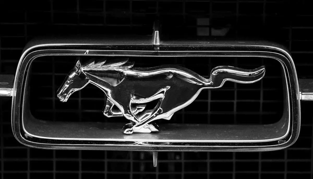 Ford Mustang-Car With Horse Logo/Emblem