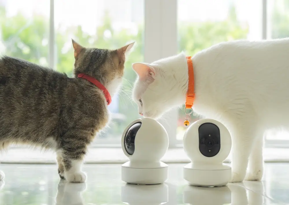 Best Discreet Home Security Cameras 2025: Complete Reviews & Buying Guide Best Discreet Home Security Cameras 2025: Complete Reviews & Buying Guide